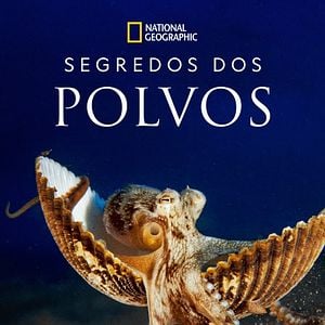 Foto Segredos dos Polvos