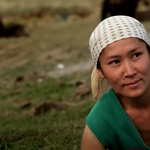 Foto O verdadeiro Appaloosa