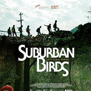 Foto Pássaros do Subúrbio
