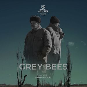 Foto Abelhas Cinzentas