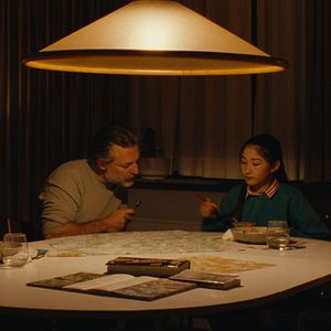 Foto Folhas Delicadas