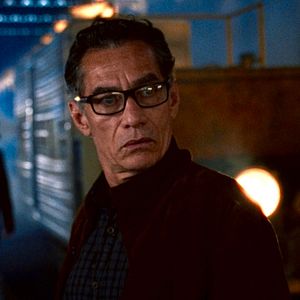 Foto Girassol Vermelho