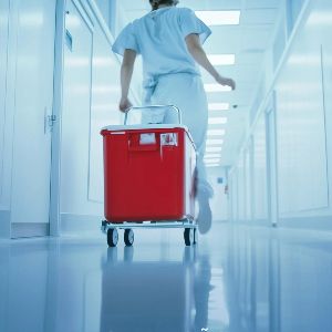 Foto Operação Transplante