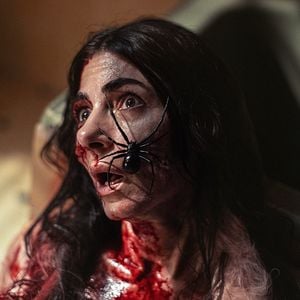 Foto Sting: Aranha Assassina