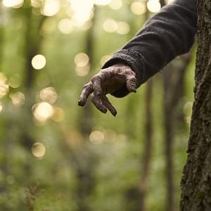 Foto O Homem do Saco