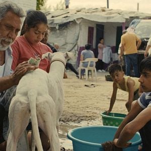 Foto Cidade sem Sonho