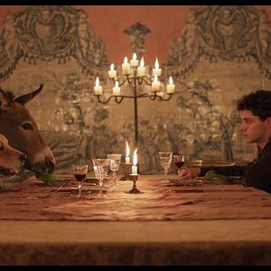 Foto A Árvore do Conhecimento