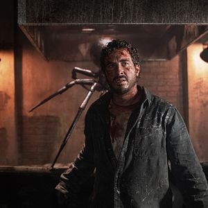 Foto Sting: Aranha Assassina