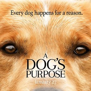 Foto Quatro Vidas de um Cachorro