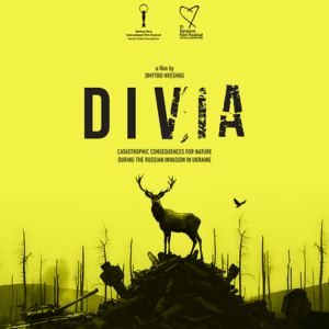 Foto Divia: A Natureza Destruída pela Guerra