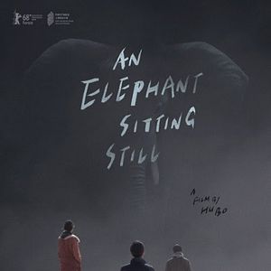 Foto Um Elefante Sentado Quieto