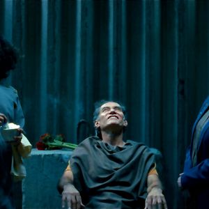 Foto Girassol Vermelho