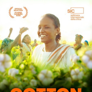 Foto Rainha do Algodão