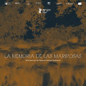 Foto A Memória das Borboletas