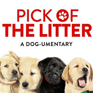Foto Pick of the Litter