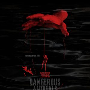 Foto Animais Perigosos