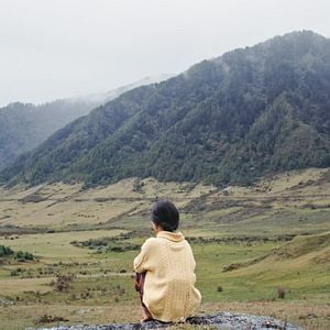 Foto Fiscal da Felicidade