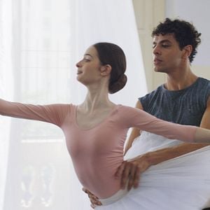 Foto Um Lobo Entre Os Cisnes