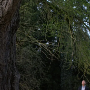 Foto Amiga Silenciosa