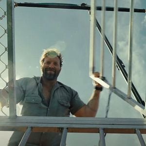 Foto Animais Perigosos