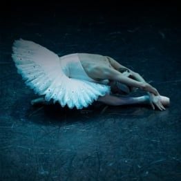 Foto O Lago dos Cisnes