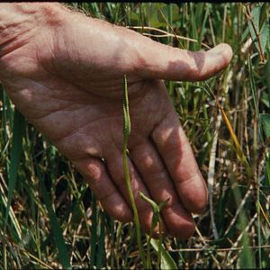 Foto 7 Caminhadas com Mark Brown