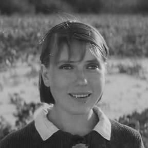 Foto Não Há Caminho Sob o Fogo