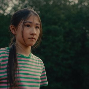 Foto Folhas Delicadas