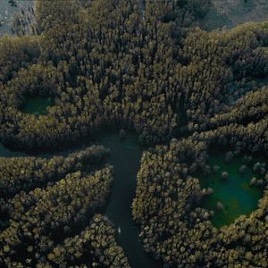 Foto Os Horrores do Caddo Lake