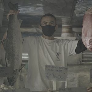 Foto Todo Dia é Dia de Feira