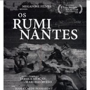 Foto Os Ruminantes
