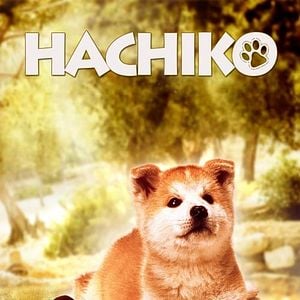 Foto Hachiko - Um Amigo Para Sempre