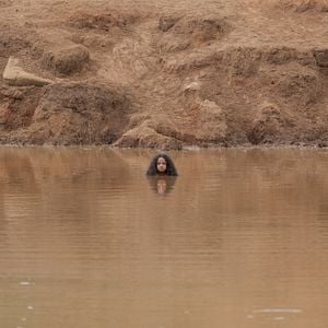 Foto O Silêncio das Ostras