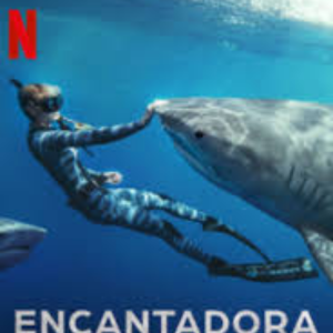 Foto Encantadora de Tubarões