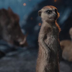 Foto Mufasa: O Rei Leão