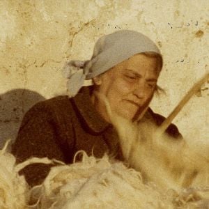 Foto A Memória Fértil