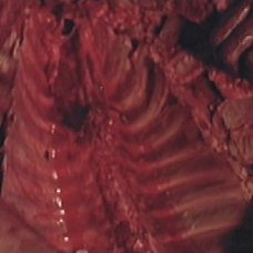 Foto Fases da Morte 8 - O Último Mundo dos Canibais