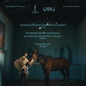 Foto    A Anatomia dos Cavalos