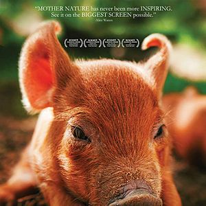 Foto A Pequena Grande Fazenda