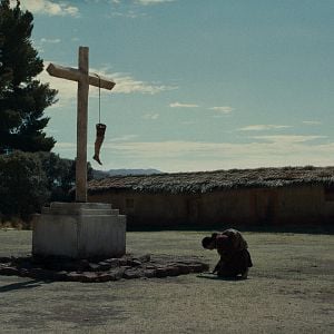 Foto    A Anatomia dos Cavalos