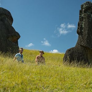 Foto Wild Horse Nine