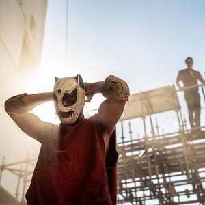 Foto Corrida dos Bichos