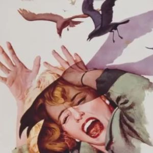 Foto The birds