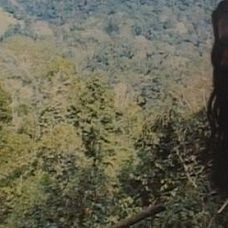 Foto Fases da Morte 8 - O Último Mundo dos Canibais