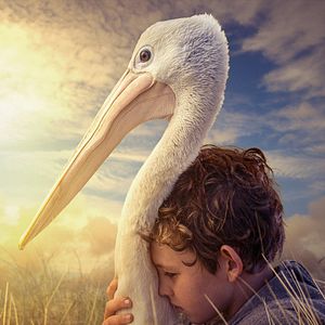 Foto Amigos Para Sempre