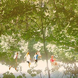 Foto Summer In The Forest