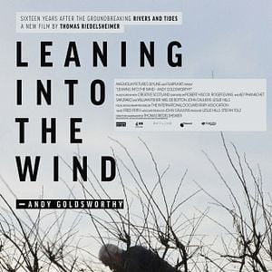 Foto Leaning Into the Wind: Andy Goldsworthy