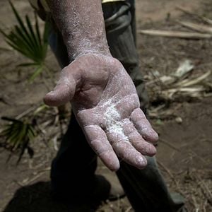 Foto Termodielétrico