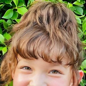 Foto Nutthatcha Padovan