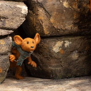 Foto A Cada Dia que Passa